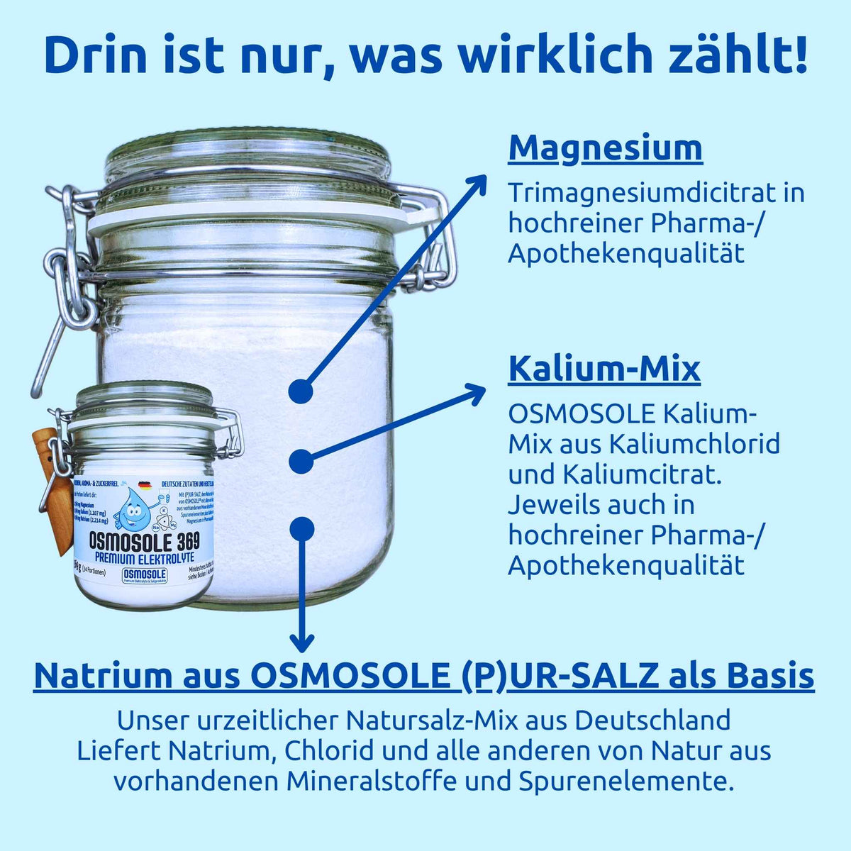 Das Bild zeigt, was in OSMOSOLE 369 drin ist.