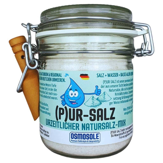(P)UR-SALZ Starterglas (Urzeitlicher Natursalz Mix, 369 g)